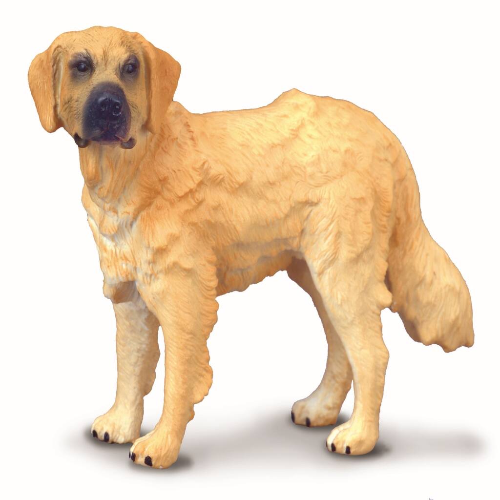10578731_1.jpg img